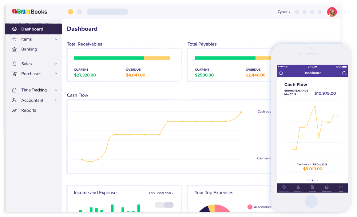To show Zoho books interface