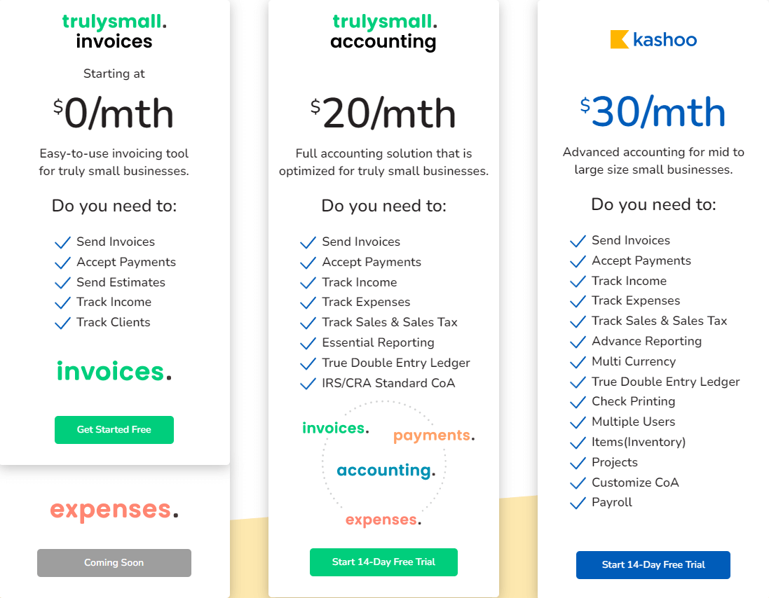 Kashoo Review Pricing